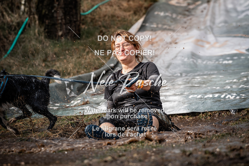 nelerasche_1330-1400_285 | nelerasche