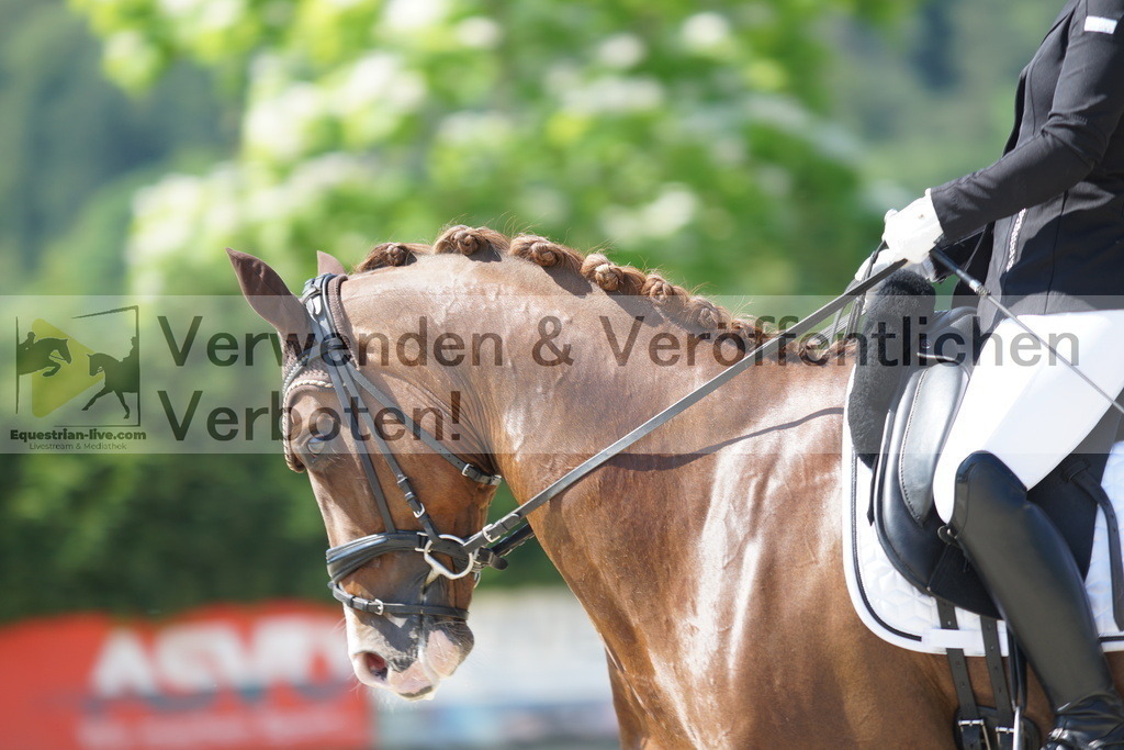 DSC02296 | equestrian-live-com