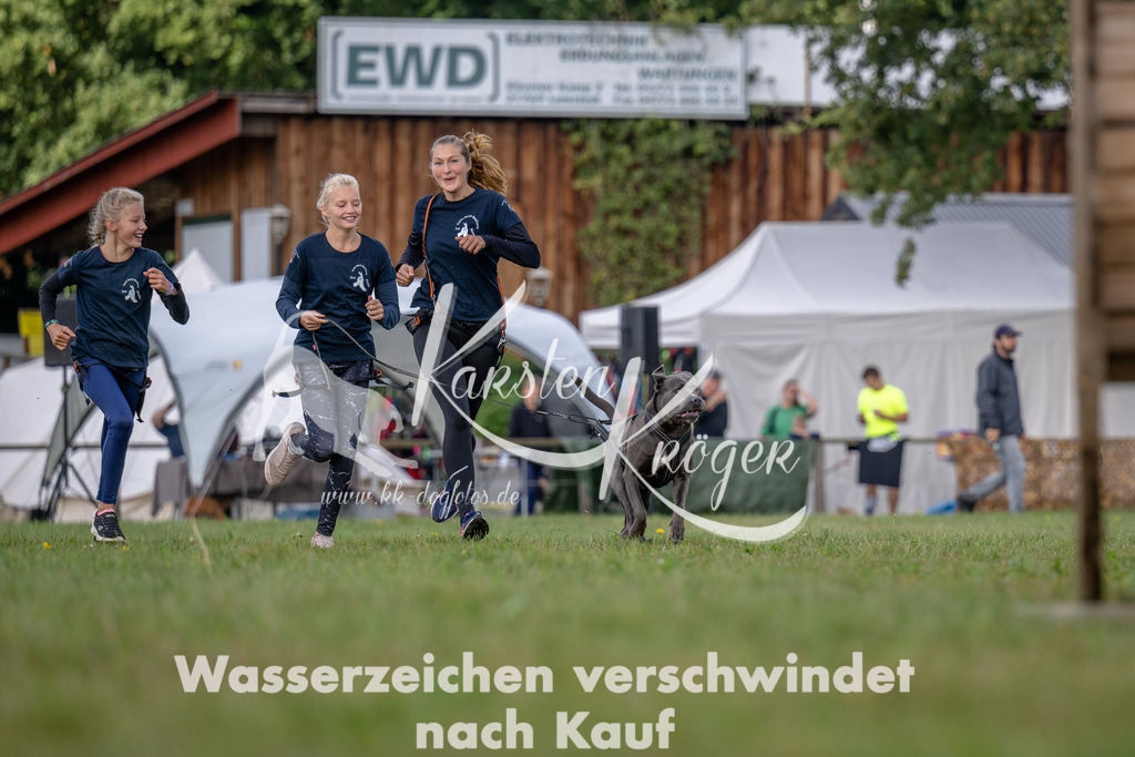1103_ZZ93876 | kk-dogfotos