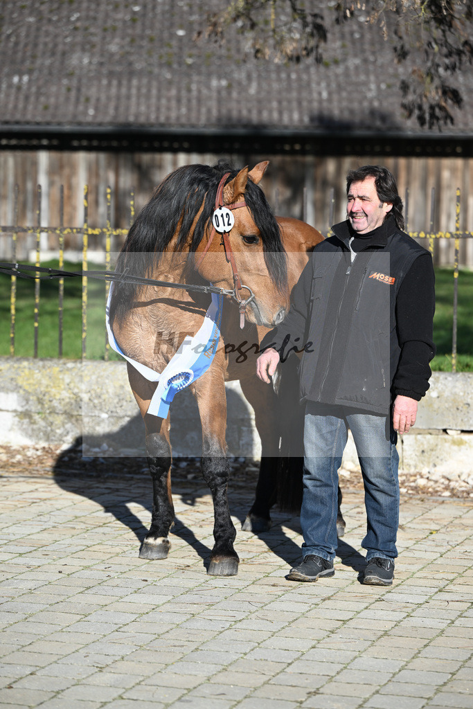 Kat-Nr. 12 Tapadero v. Tape Isidoro_Seefried_49250569 | hf-fotografie - Realisiert mit Pictrs.com