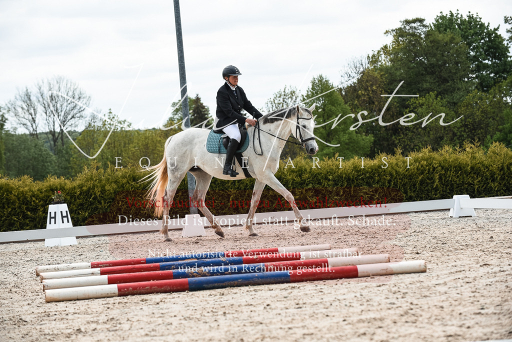 20230518_JK-Röhrsdorf-10-295 | Pferde- und Turnierfotografie in Westsachsen. Pferdeportraits, Auftragszeichnungen und intuitive Kunst.