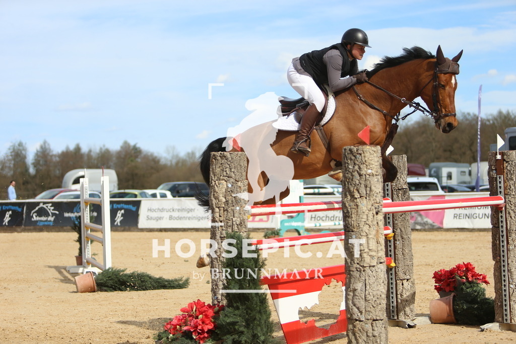 DL2Q6478 | Willkommen bei Brunnmayr - Design & Fotografie – Ihrem Spezialisten für Reitturniere und Pferdeveranstaltungen in Oberösterreich, Salzburg und Bayern! Seit über 17 Jahren sind wir leidenschaftlich dabei.