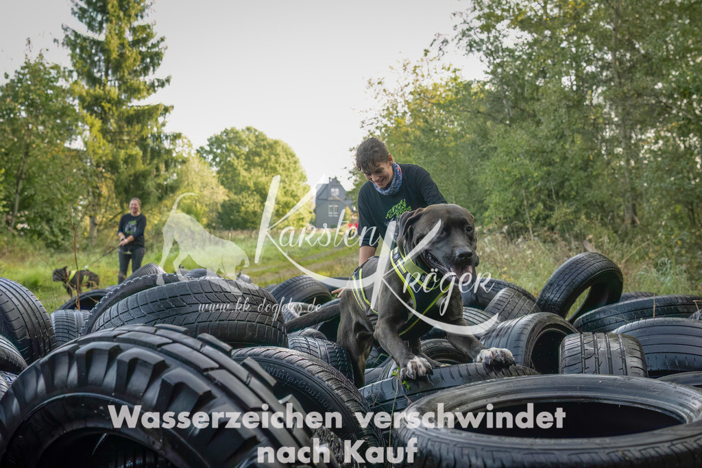 1027_ZZ94383-Bearbeitet-2 | kk-dogfotos