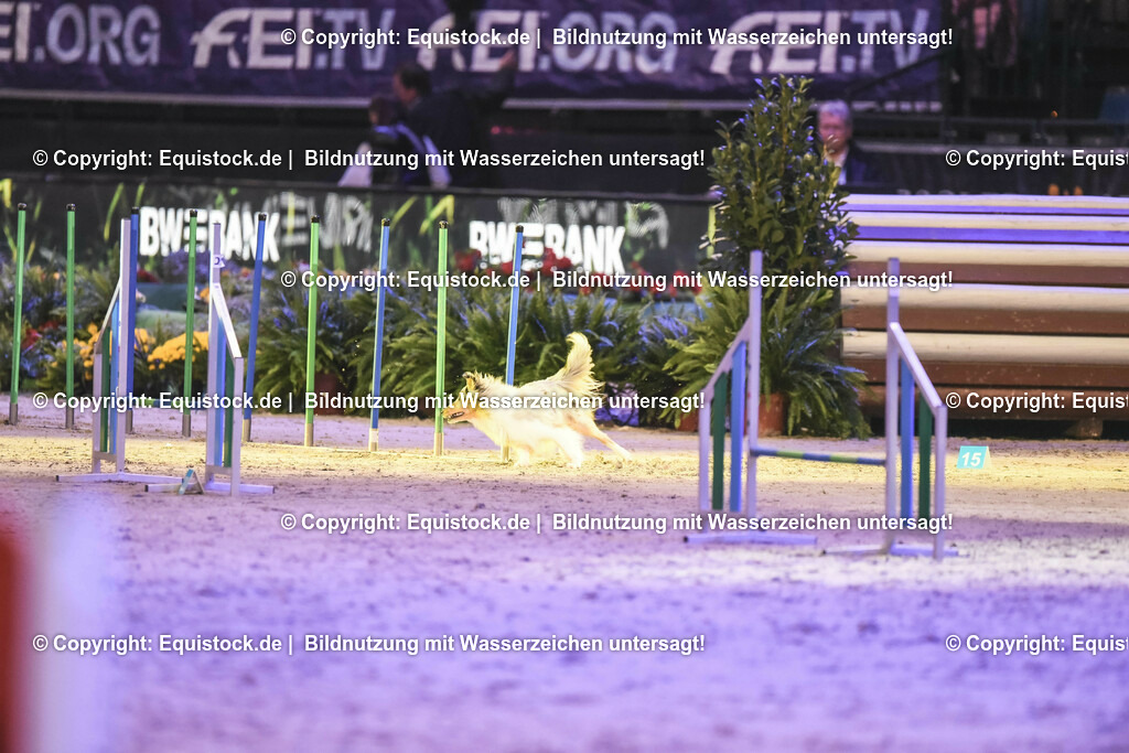 20231115_Dog-Agility_0225_TOMsPiC | Foto: Thomas Hartig