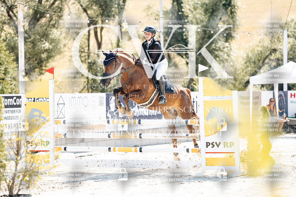 CK908493 | Turnierfotografie Pferdefotografie Trier Rheinland-Pfalz Pferdesport Reitsport Tierfotografie Sportfotografie Pferdevideo Pferdevideografie Equestrianvideography equestrianphotography  - Realisiert mit Pictrs.com
