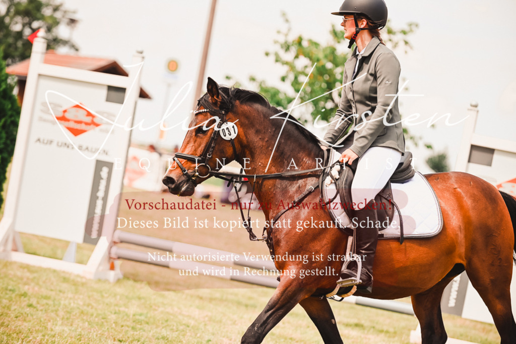 DSC_6934 | Pferde- und Turnierfotografie in Westsachsen. Pferdeportraits, Auftragszeichnungen und intuitive Kunst.