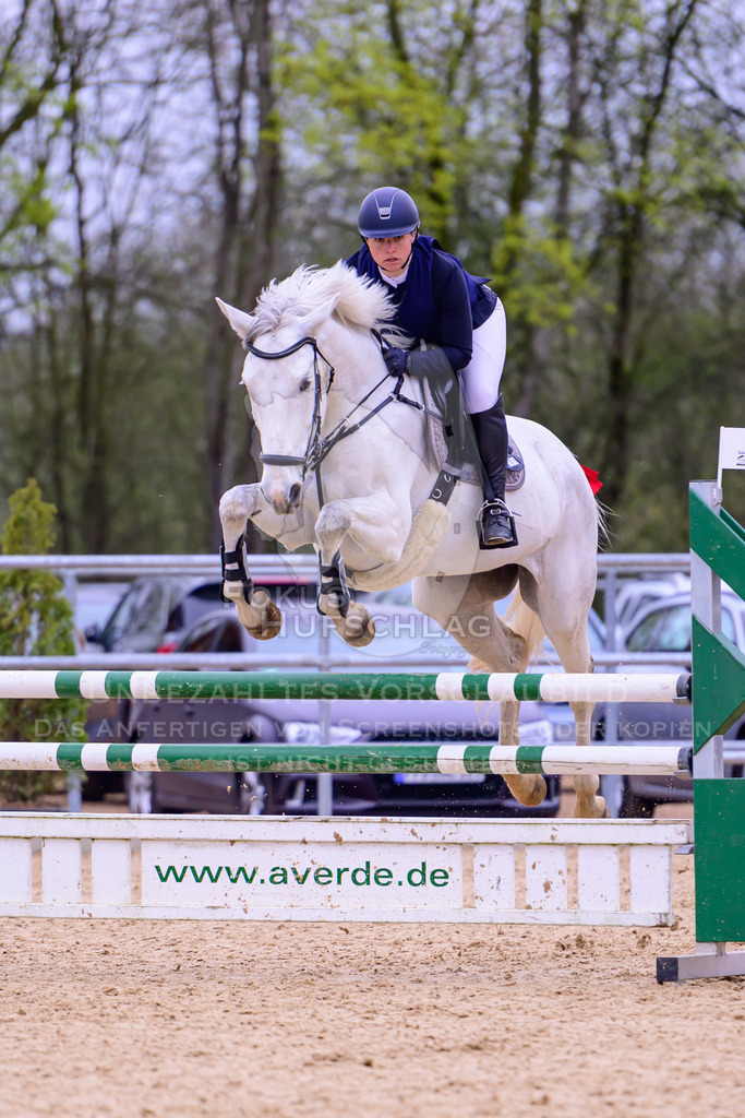 12042026-Mammendorf-Prfg42-0252 | Fokus Hufschlag Fotografie - Realisiert mit Pictrs.com
