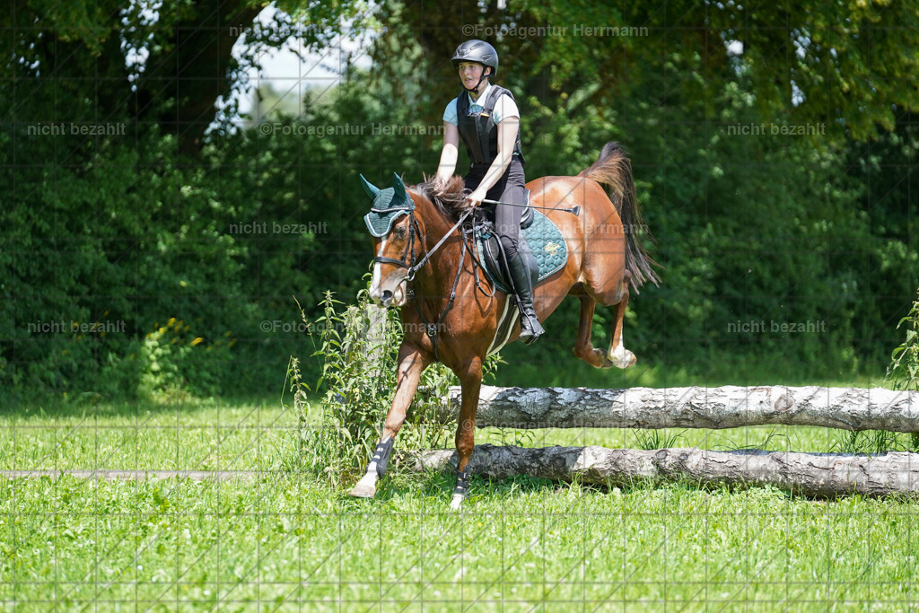 20240622-FAH07082 | Turnierfotografen Bayern, Reitsportbilder aus dem Geländekurs mit Felix Etzel auf dem Gut Waitzacker 2024