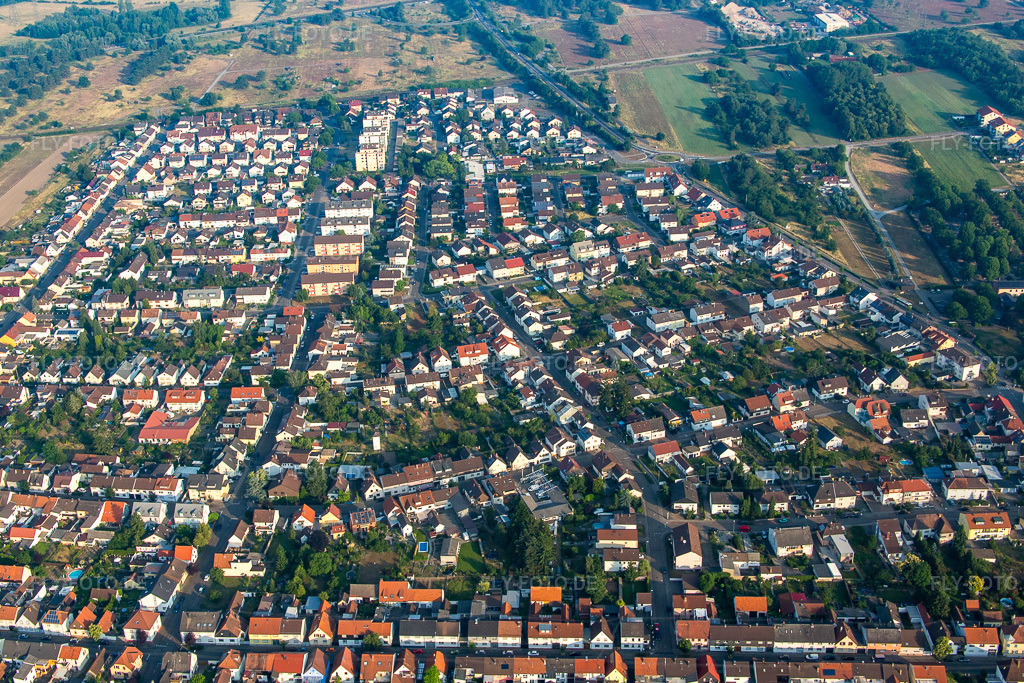 Luftbild: Kettelerstr im Ortsteil Wiesental in Waghäusel im Bundesland Baden-Württemberg in Deutschland. Foto: IMG_080513.jpg vom 12.06.2015 durch Werner Riehm/FLY-FOTO.de