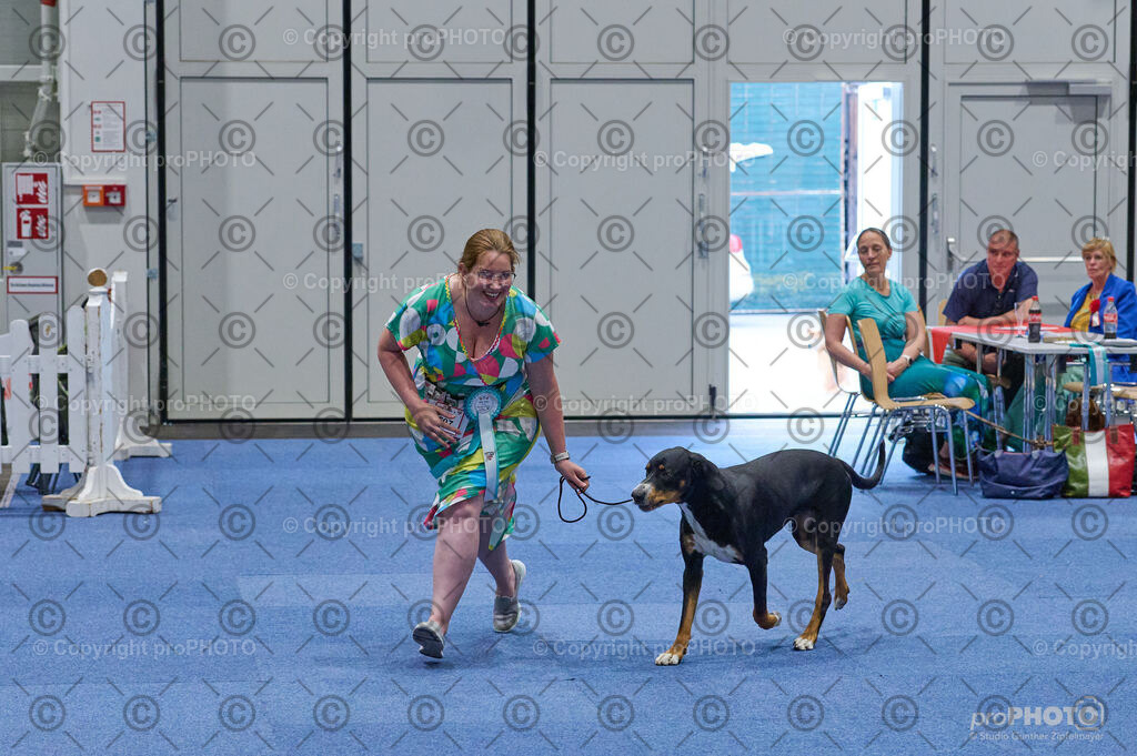 202406_ÖKV-IHA-Tulln24_DSC_3096 | proPHOTO - Realisiert mit Pictrs.com