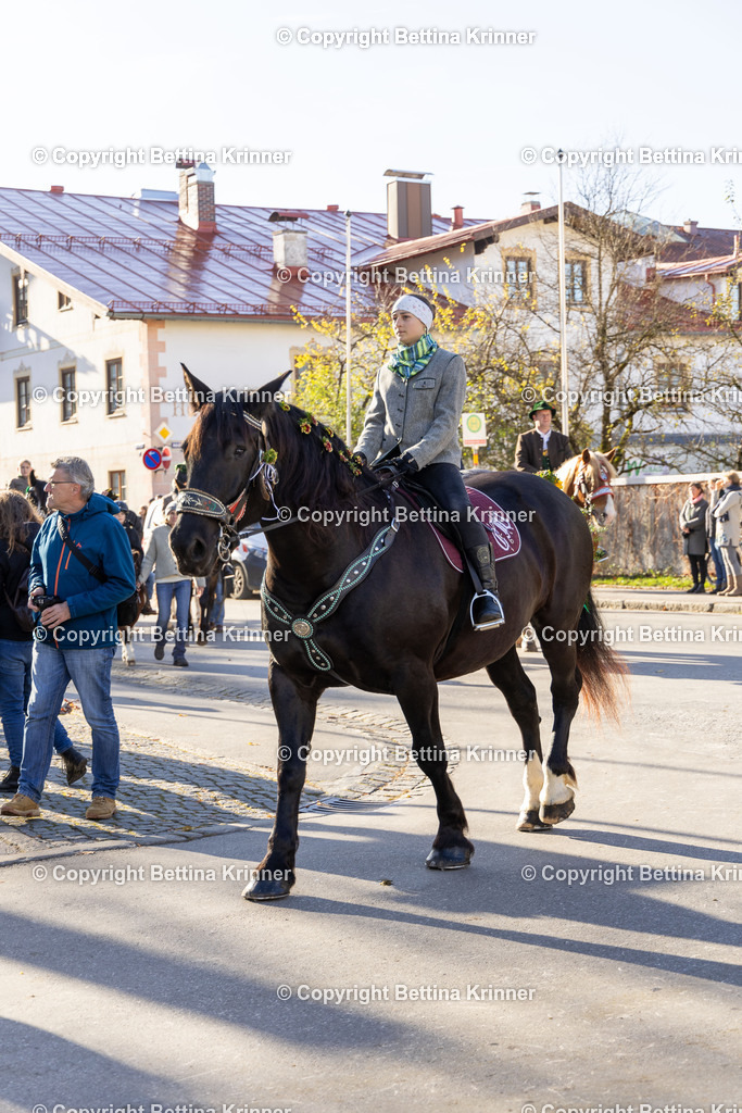 LL24-378 | foto-bettina-krinner - Realisiert mit Pictrs.com