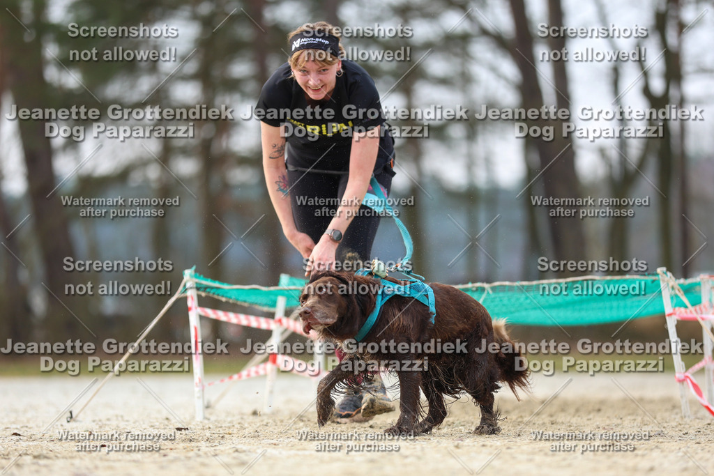 Dog Paparazzi - Strongdog North Mrz26-4351 | Dog Paparazzi Jeanette Grottendiek Fotografie & Videografie - Realisiert mit Pictrs.com