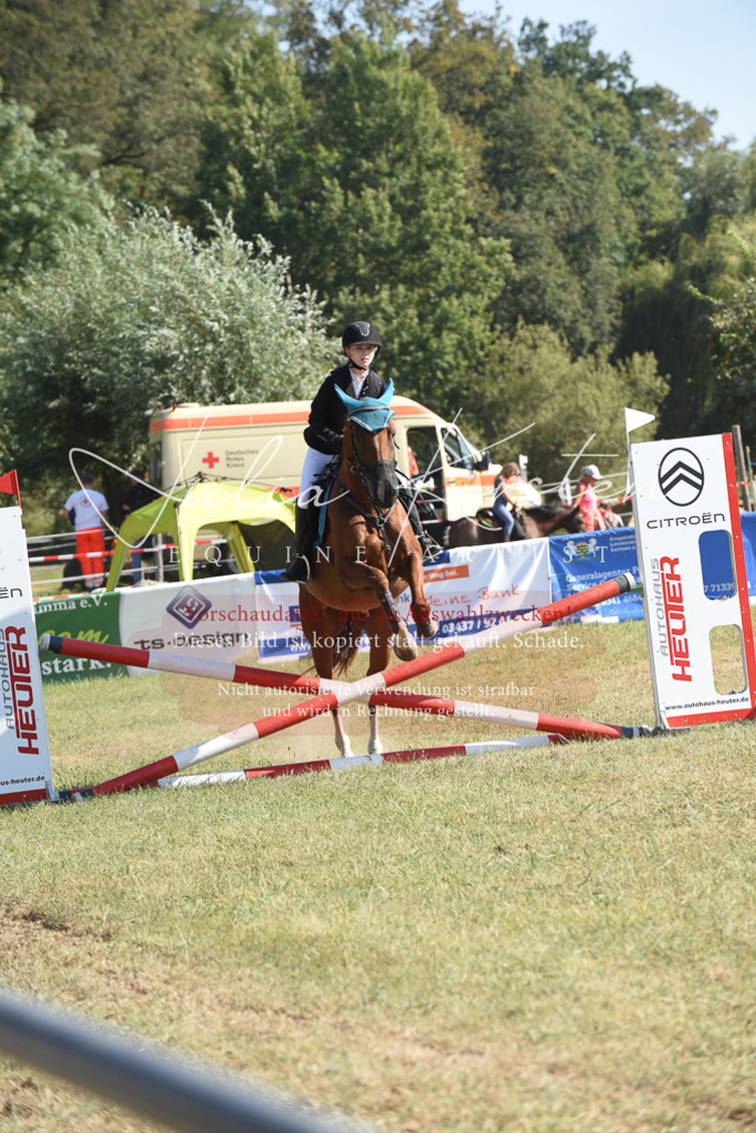 DSC_6053 | Pferde- und Turnierfotografie in Westsachsen. Pferdeportraits, Auftragszeichnungen und intuitive Kunst.