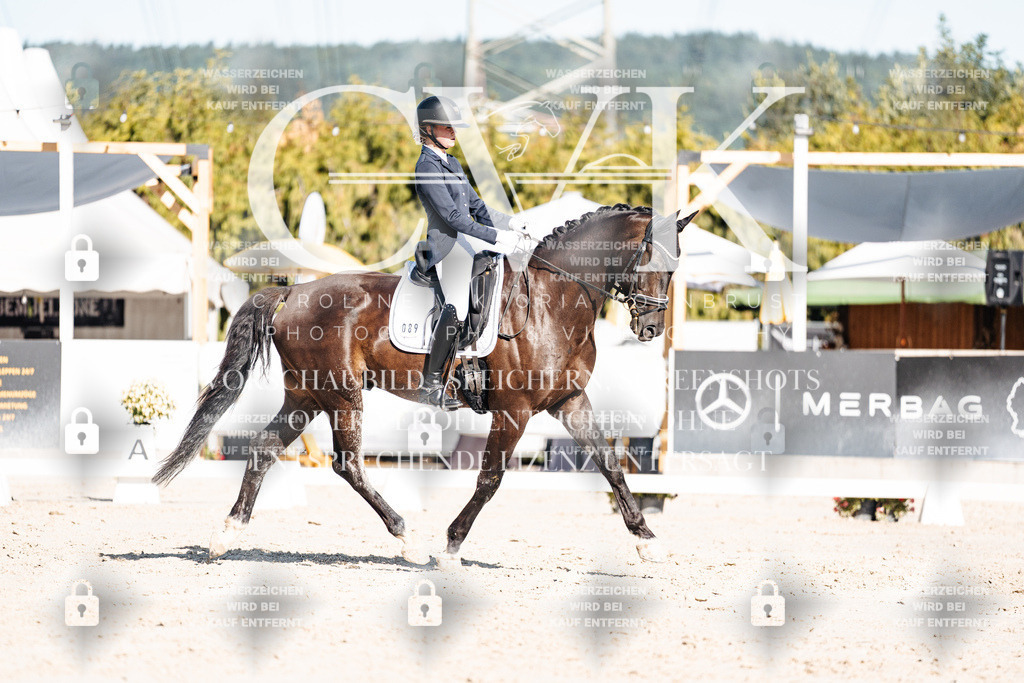 CK907767 | Turnierfotografie Pferdefotografie Trier Rheinland-Pfalz Pferdesport Reitsport Tierfotografie Sportfotografie Pferdevideo Pferdevideografie Equestrianvideography equestrianphotography  - Realisiert mit Pictrs.com