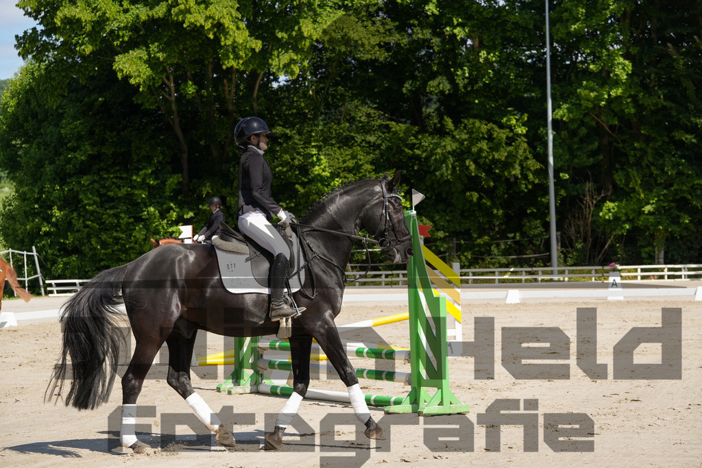 DSC03214 | Julian Held Fotografie - Realisiert mit Pictrs.com