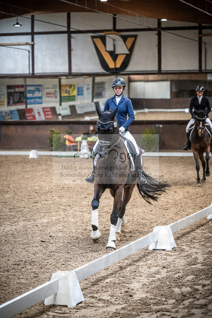 DOS_0085 | Entdecke hochwertige Reitturnierfotos von Foto Oger. Professionell, emotional und authentisch – jetzt Lieblingsmomente im Shop bestellen.Deutschlandweite Turnierfotografie. - Realisiert mit Pictrs.com