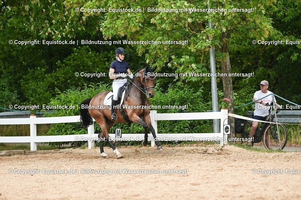 20230716_01_Dressurprüfung Kl.M_0441 | equistock