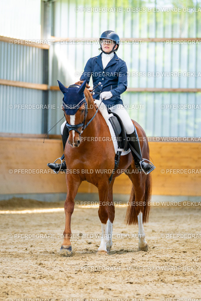 DSC06533 | Pferdegrafie