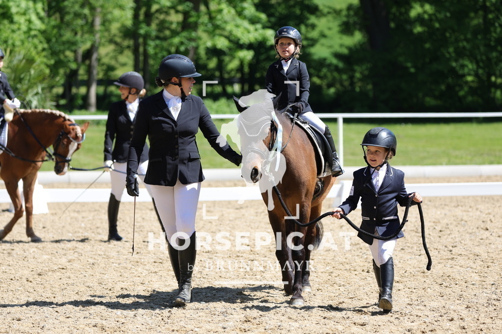 0P6A0364 | Willkommen bei Brunnmayr - Design & Fotografie – Ihrem Spezialisten für Reitturniere und Pferdeveranstaltungen in Oberösterreich, Salzburg und Bayern! Seit über 17 Jahren sind wir leidenschaftlich dabei.