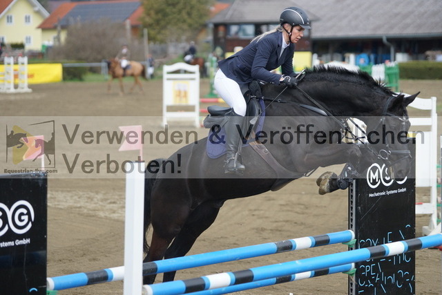 DSC01021 | equestrian-live-com