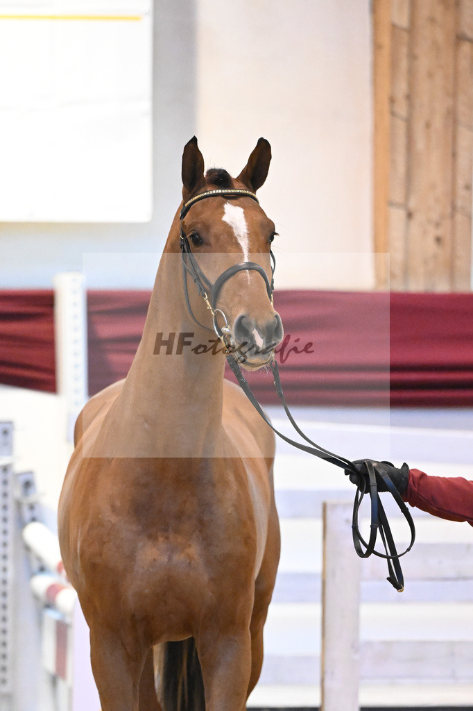 Kat-Nr. 53 v. Vingino_Bachl_66221183 | hf-fotografie - Realisiert mit Pictrs.com