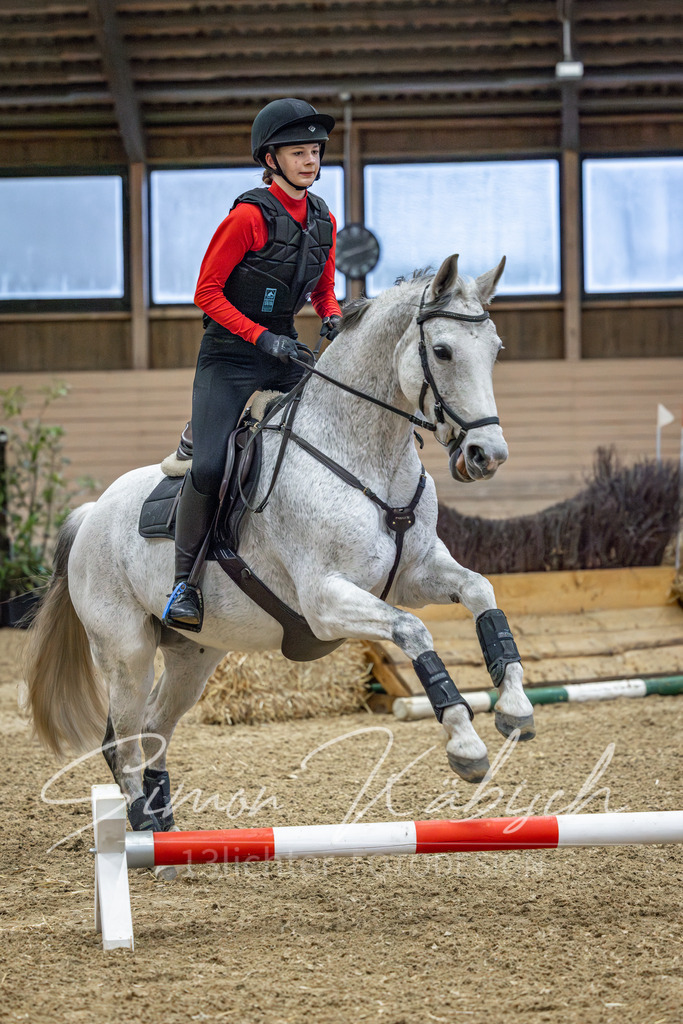 20260222-_3LI0786 | Tierfotografie Pferde, Hunde, Katzen, Haustiere.
Turnierfotografie Reitturniere, Reiten, Springreiten, Dressur in Hanau, dem Main-Kinzig-Kreis und dem Rhein-Main- Gebiet um Frankfurt
