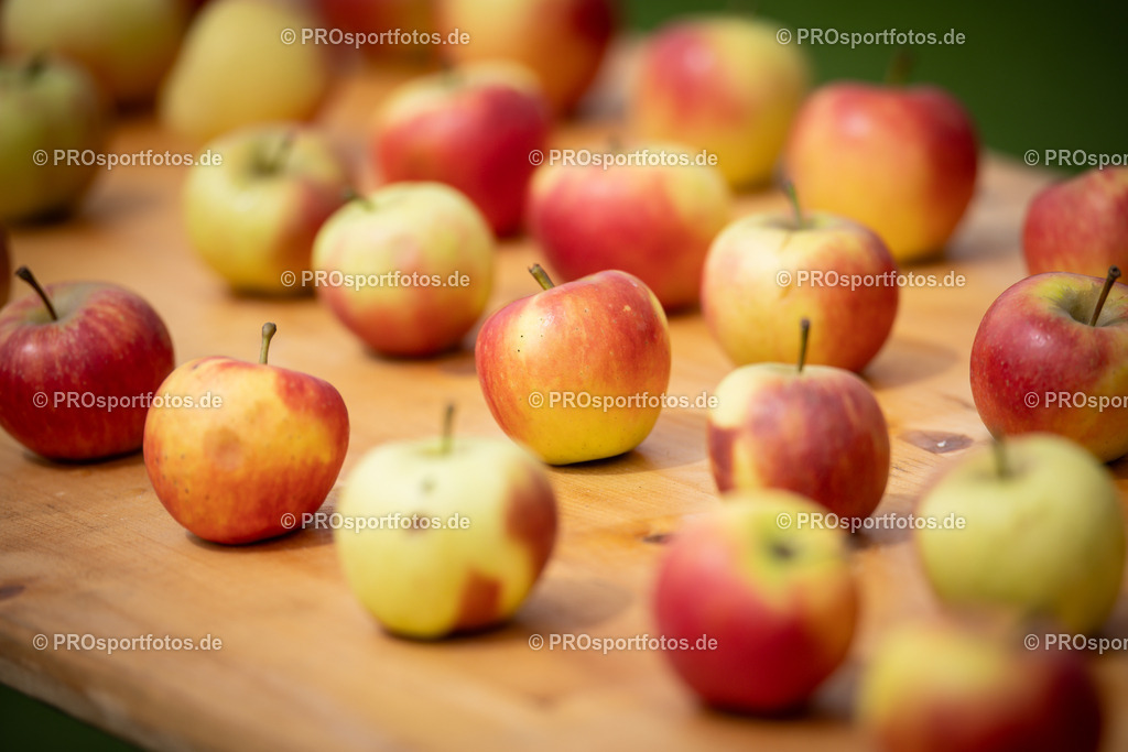 Stadionlauf Köln, 26.05.2024 | Impressionen von Stadionlauf Köln am 26.05.2024 rund um das RheinEnergie-Stadion in Koeln-Müngersdorf.