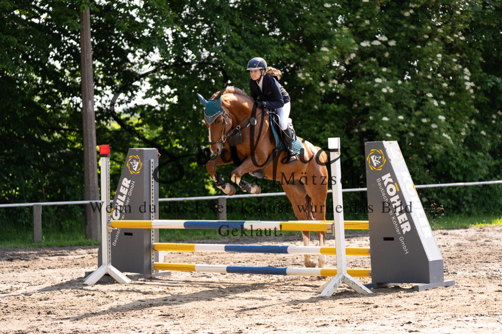 A7507351 | Turnier/Reitfotograf