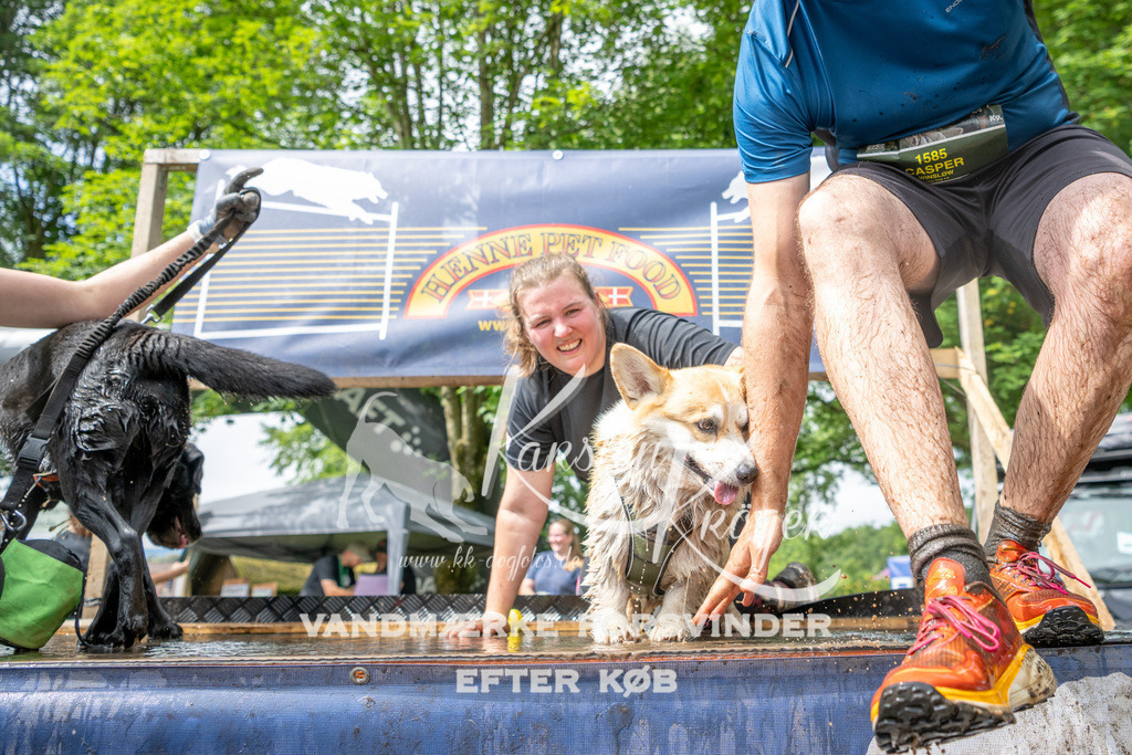 1013_ZZ90203 | kk-dogfotos