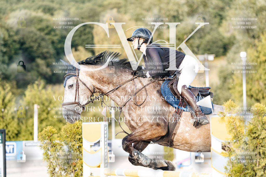 CK900881 | Turnierfotografie Pferdefotografie Trier Rheinland-Pfalz Pferdesport Reitsport Tierfotografie Sportfotografie Pferdevideo Pferdevideografie Equestrianvideography equestrianphotography  - Realisiert mit Pictrs.com