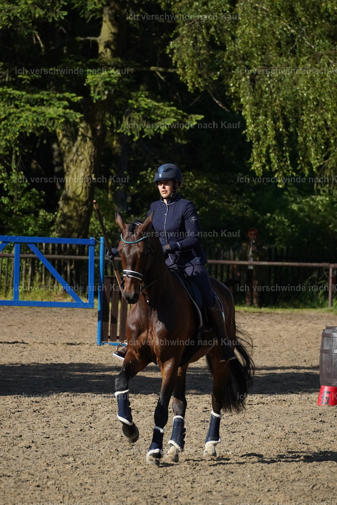 KlasseL_Lucie (1) | working equitationturnier fotograf videograf stoibphotography marixx film working equitation deutschland reitsport turnierfotografie eventfotografie equestrian events