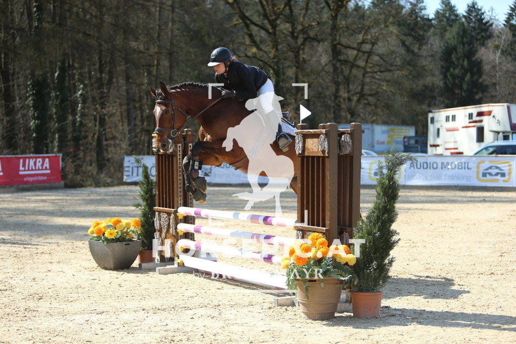 DL2Q3405 | Willkommen bei Brunnmayr - Design & Fotografie – Ihrem Spezialisten für Reitturniere und Pferdeveranstaltungen in Oberösterreich, Salzburg und Bayern! Seit über 17 Jahren sind wir leidenschaftlich dabei.