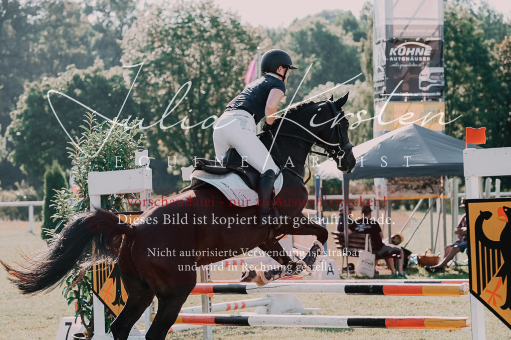 DSC_4710 | Pferde- und Turnierfotografie in Westsachsen. Pferdeportraits, Auftragszeichnungen und intuitive Kunst.