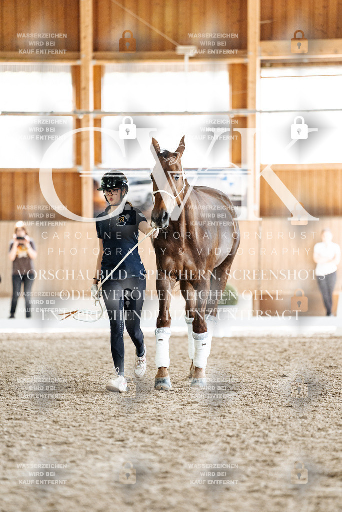 CK908238 | Turnierfotografie Pferdefotografie Trier Rheinland-Pfalz Pferdesport Reitsport Tierfotografie Sportfotografie Pferdevideo Pferdevideografie Equestrianvideography equestrianphotography  - Realisiert mit Pictrs.com