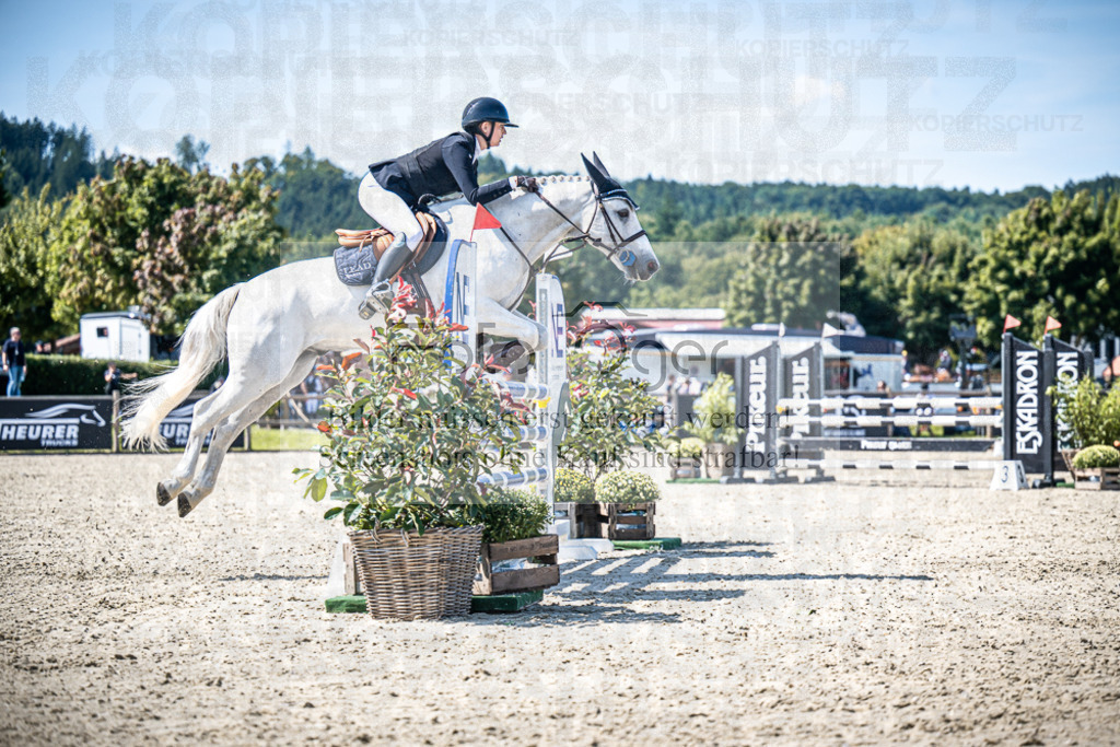 DOS_2454 | Entdecke hochwertige Reitturnierfotos von Foto Oger. Professionell, emotional und authentisch – jetzt Lieblingsmomente im Shop bestellen.Deutschlandweite Turnierfotografie. - Realisiert mit Pictrs.com