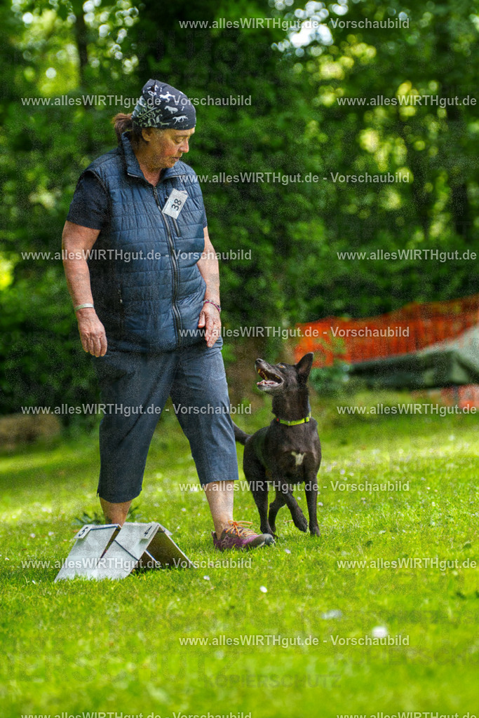 @allesWIRTHgut_Tierfotografie - www.allesWIRTHgut.de - 124347-7R509372 | Professionelle Tierfotografie in Mönchengladbach von Daniel Wirth (allesWIRTHgut). Liebevolle & natürliche Bilder von Hunden & Katzen für unvergessliche Erinnerungen.