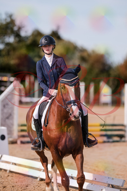 2026_10_03_Siefer-Hof_133204_Z81_87900931 | Professionelle Reitsport-, Turnier- und Eventfotografie von Robert Broda. Galerien mit ausgewählten und bearbeiteten Bildern direkt online ansehen und bestellen.