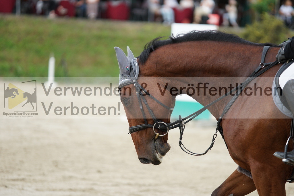 DSC03762 | equestrian-live-com
