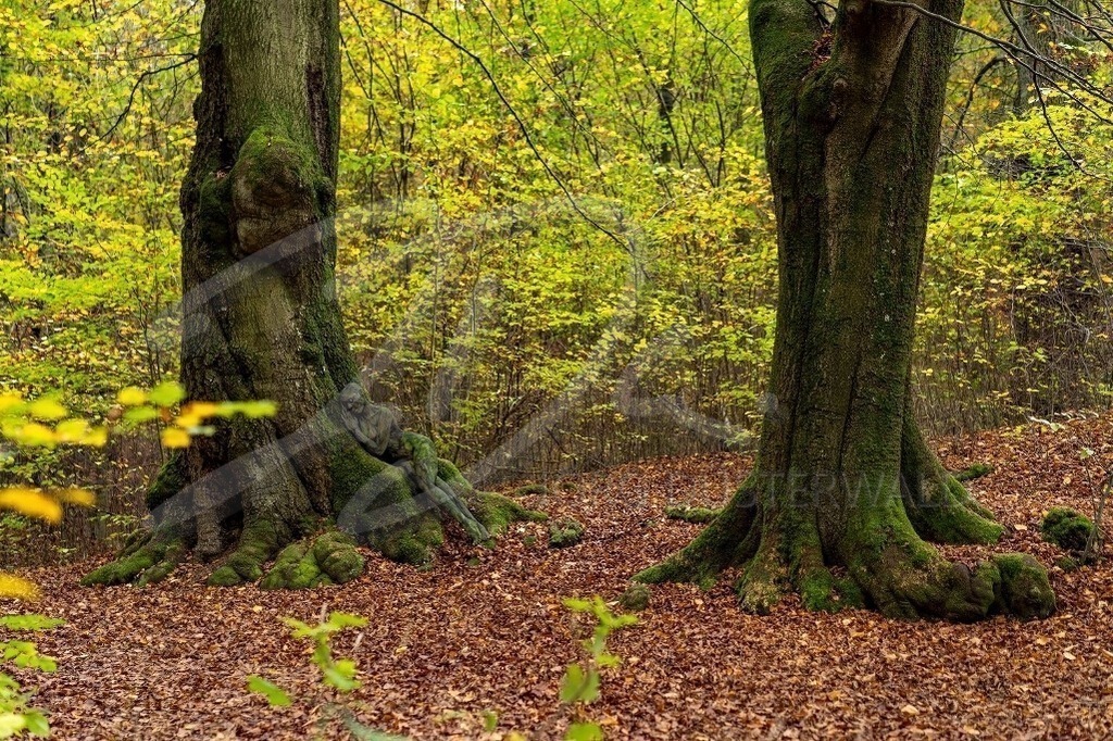 NatureArt-OAKTREES_0036 | An der Wurzel angelehnt | #003 | Modell: Lenny | Foto: Dennis Largo Schulz - Realisiert mit Pictrs.com