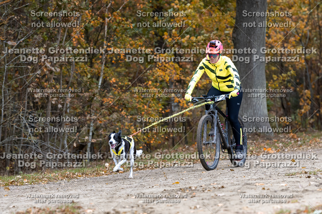 Dog Paparazzi - SD CaniX Championship 2025-583 | Dog Paparazzi Jeanette Grottendiek Fotografie & Videografie - Realisiert mit Pictrs.com