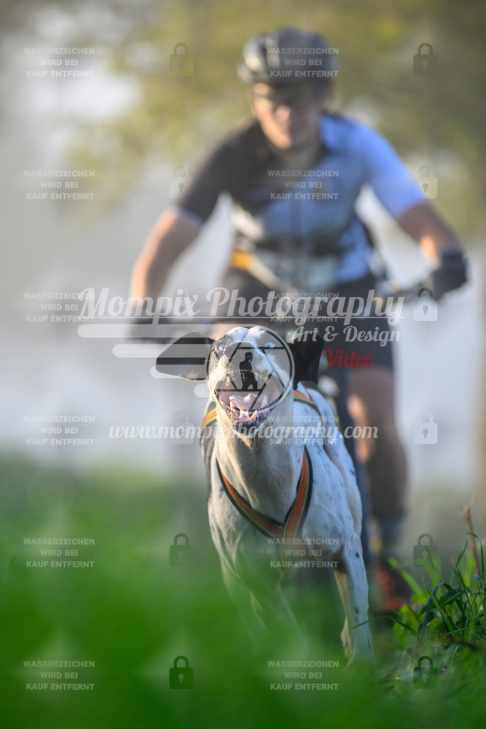MompixPhotography_20TSB_E3_Bike-47 | PayLife