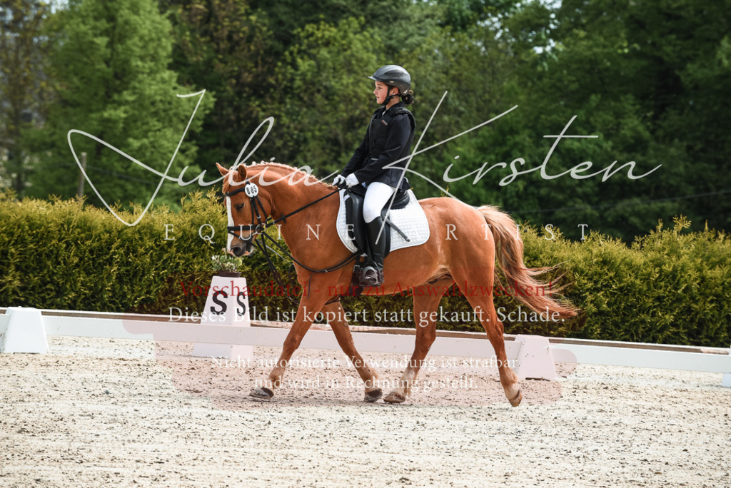 20230518_JK-Röhrsdorf-11-0052 | Pferde- und Turnierfotografie in Westsachsen. Pferdeportraits, Auftragszeichnungen und intuitive Kunst.