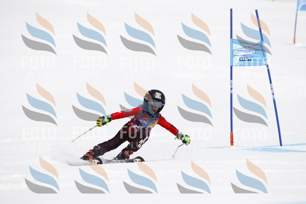 _U3G4655 | holidayphoto