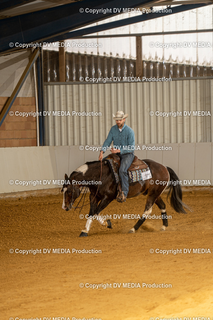 MIT01288 | dv-media-shop - Realisiert mit Pictrs.com