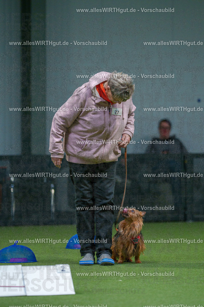 7R500403 | Professionelle Tierfotografie in Mönchengladbach von Daniel Wirth (allesWIRTHgut). Liebevolle & natürliche Bilder von Hunden & Katzen für unvergessliche Erinnerungen.