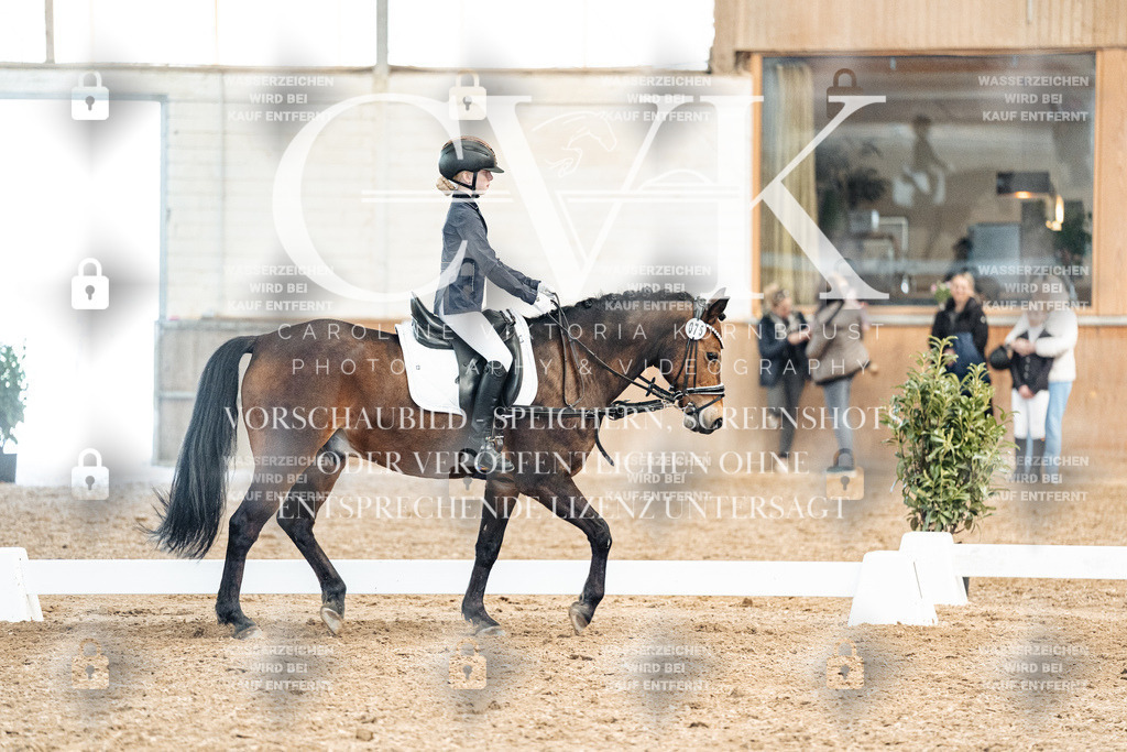 CK900405 | Turnierfotografie Pferdefotografie Trier Rheinland-Pfalz Pferdesport Reitsport Tierfotografie Sportfotografie Pferdevideo Pferdevideografie Equestrianvideography equestrianphotography  - Realized with Pictrs.com