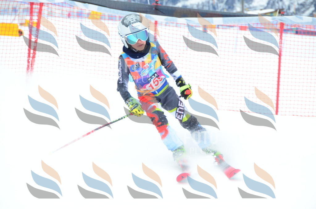 DSC_1517 | holidayphoto