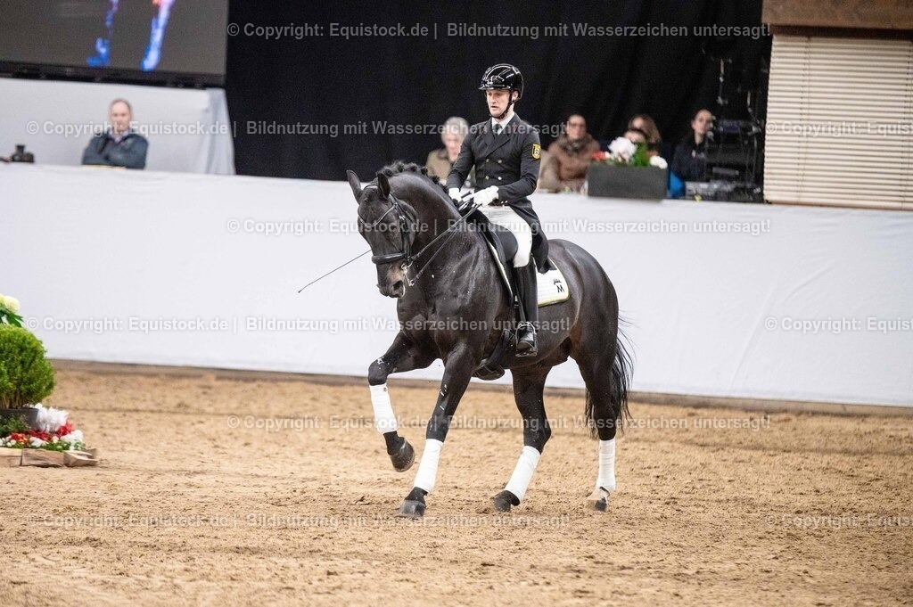 20260307_Hengstvorstellung-Marbach_0488 | equistock