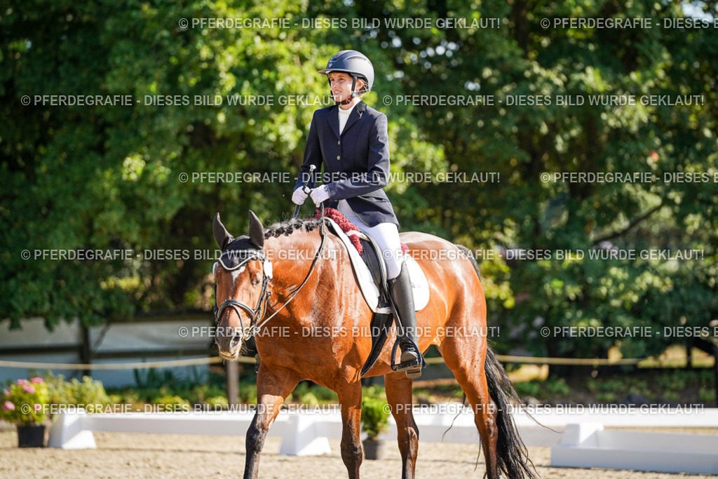 DSC09281 | Pferdegrafie