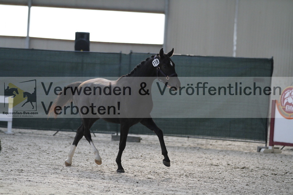 _MG_9360 | equestrian-live-com
